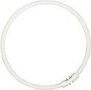 Philips Fluorescent T5 Circular 60W 4-Pin 840 Cool White